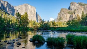 Best National Parks to Visit Around the World: A Guide to Nature, Wildlife, and Adventure